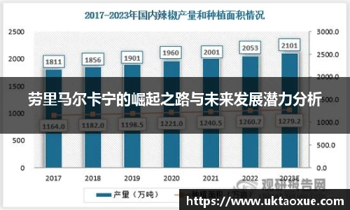 劳里马尔卡宁的崛起之路与未来发展潜力分析