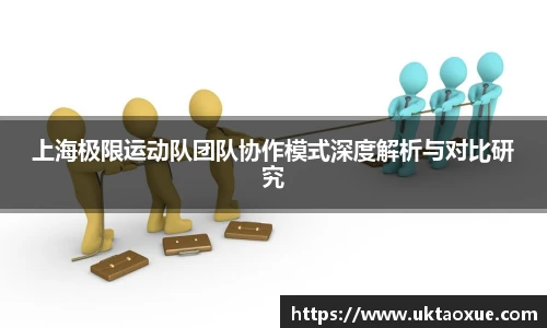 上海极限运动队团队协作模式深度解析与对比研究